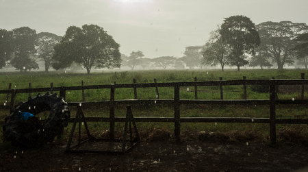 rain in Venezuelaの写真素材