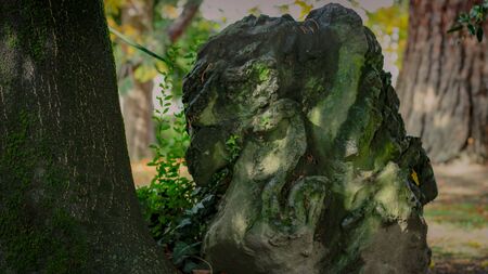 stone in a parkの写真素材