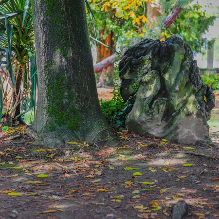 stone in a parkの写真素材