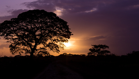 beautiful landscape and sunset in venezuelaの写真素材