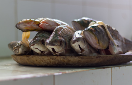 Fish for cooking in Venezuelaの写真素材
