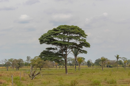 beautiful landscape and nature in venezuelaの写真素材