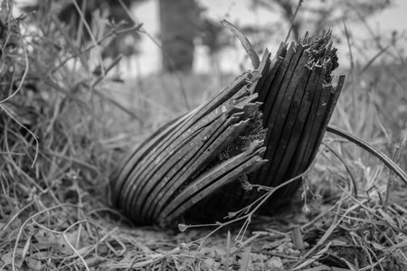 beautiful landscape in venezuelaの写真素材