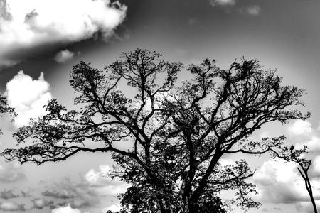 beautiful landscape in venezuelaの写真素材