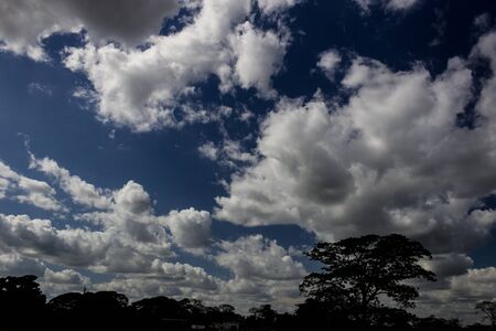 dramatic sky with clouds and trees in Venezuelaの写真素材