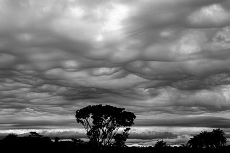 Rain clouds in the sky. Black and white image of storm clouds.の写真素材