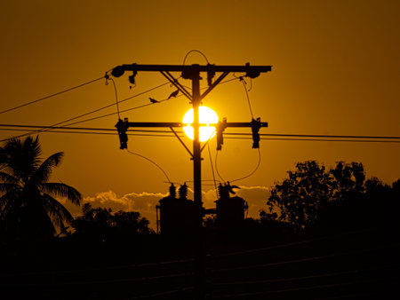 silhouette of electric pole in the sunset time with coconut tree