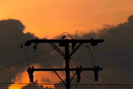 Silhouette of electrician at work on electric pole at sunsetの写真素材