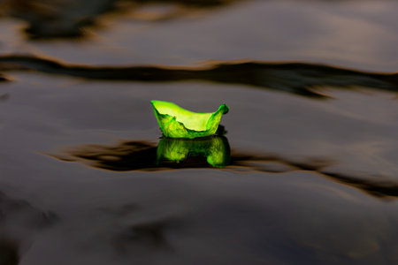 Green leaf floating in the water after a drop of water. Abstract background.の写真素材