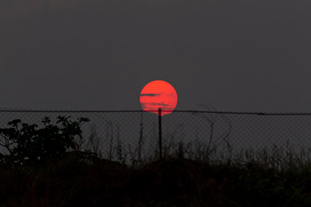 Sunset behind barbed wire fence at the edge of the forestの写真素材