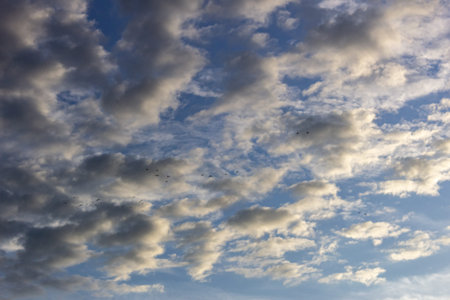 Cloudscape has been developing in gorgeous form. The clouds have been developing in gorgeous form.の写真素材