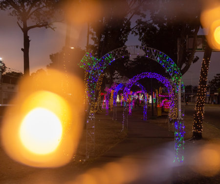 Colorful lights of christmas in the park at night with a blurred background.