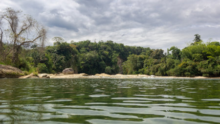 Panoramic view of the river and forest on a cloudy dayの写真素材