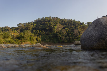 River in the forest with rocks and trees in the background, Sri Lankaの写真素材