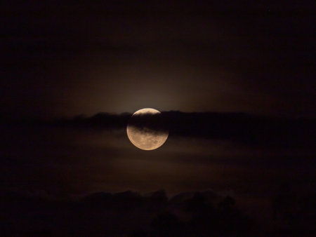Full moon at night in the sky with clouds and silhouette of treesの写真素材