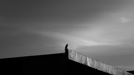Silhouette of a bird sitting on the roof of a buildingの写真素材