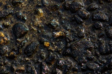 Close up of rock texture background. Selective focus with shallow depth of field.の写真素材