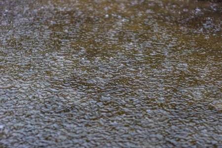 Raindrops on the surface of a puddle. Abstract background.の写真素材