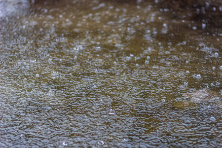 raindrops on the surface of the water in the rain, background