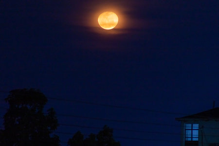 Full moon on the night sky with tree and house in the backgroundの写真素材