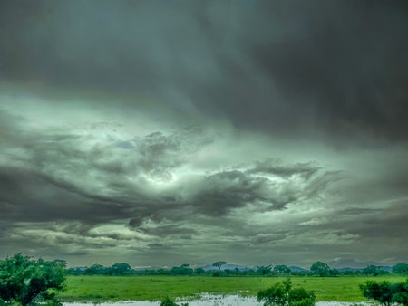 Rain clouds over rice field in the countryside of Thailand. Nature background.の写真素材
