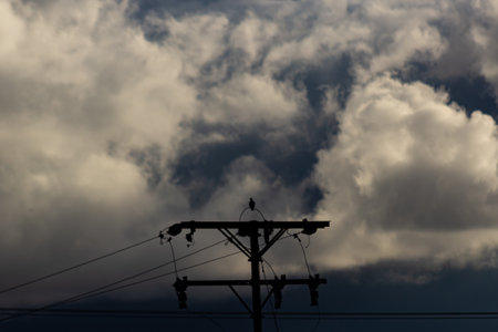 Stormy sky with clouds and a bird on a power line.の写真素材