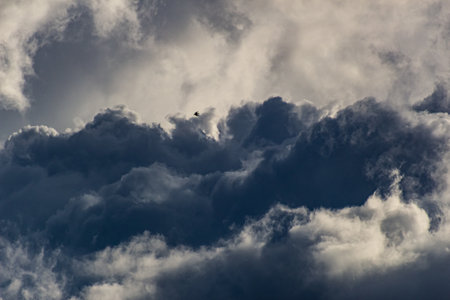 Stormy sky with dark clouds and a bird flying in the skyの写真素材