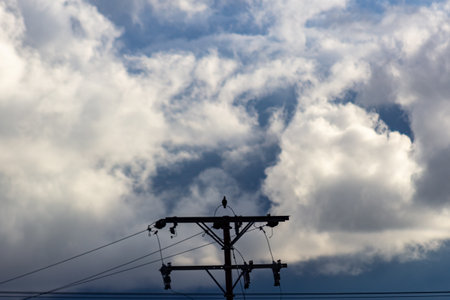 Clouds in the blue sky over a power line with a bird.の写真素材
