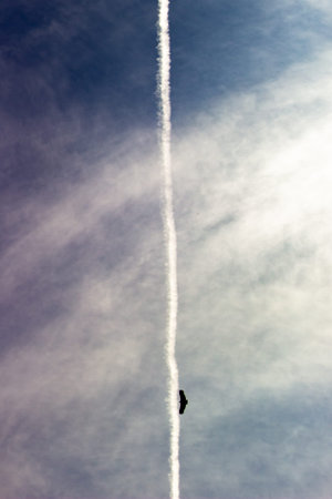 A bird flies in the sky with a contrail in the background.