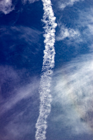 A bird flying in the blue sky with white cloudsの写真素材