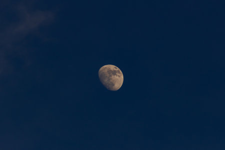 Moon in the dark blue sky. Sepia toned image.の写真素材