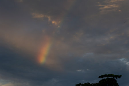 Rainbow in the sky with clouds and trees at sunset time.の写真素材