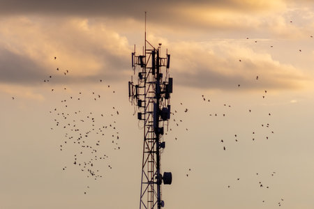 Silhouette of a telecommunication tower with a lot of birdsの写真素材