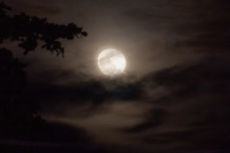 Full moon in the night sky with clouds and silhouette of trees.の写真素材