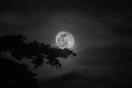 Full moon in the night sky. Black and white photo of the full moon.の写真素材