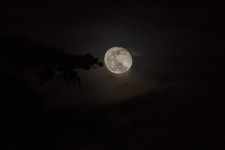 Full moon in the night sky with dark silhouette of tree and cloudの写真素材