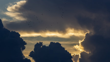 Sunset sky with clouds and birds in the sky. Nature background