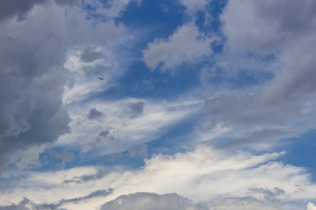 Blue sky with white clouds and a bird in the sky. Cloudscape.