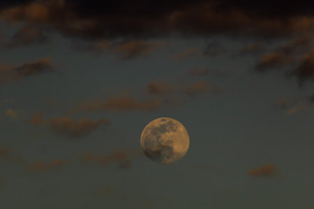Full moon in the evening sky with clouds, closeup of photoの写真素材