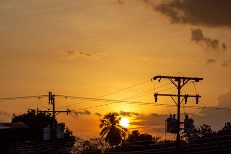 Silhouette of power lines and trees at sunset, Thailand.の写真素材