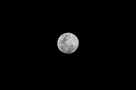 The full moon in the night sky. Black and white photo.