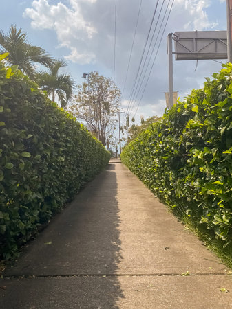 Walkway in the park with blue sky and white clouds background.の写真素材