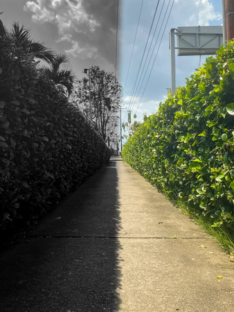 Paved walkway in the park with blue sky and white clouds