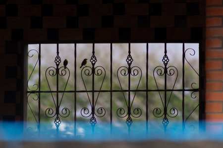 Window with iron lattice and birds on the wall of the house