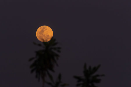 Full moon in the night sky, Thailand. (with clipping path)