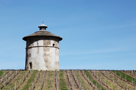Dovecote in Quincie en Beaujolais, Beaujolais, Franceの写真素材
