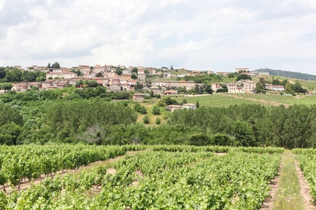 View of the village of Vaux en Beaujolais in Beaujolais, Franceの写真素材
