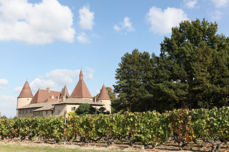 Castle of Corcelles with vineyards in Beaujolais, Franceのeditorial素材