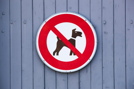 No dogs allowed sign on a wall