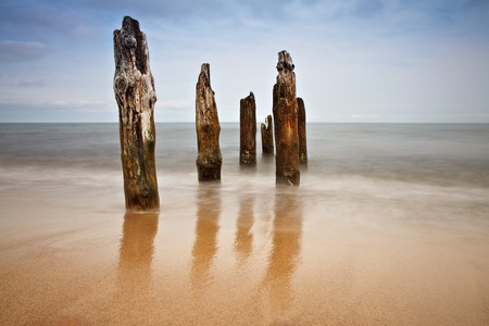 Groynes on the Baltic Sea coast.の写真素材